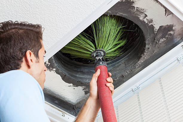 Best Professional Duct Cleaning Services  in North Corbin, KY